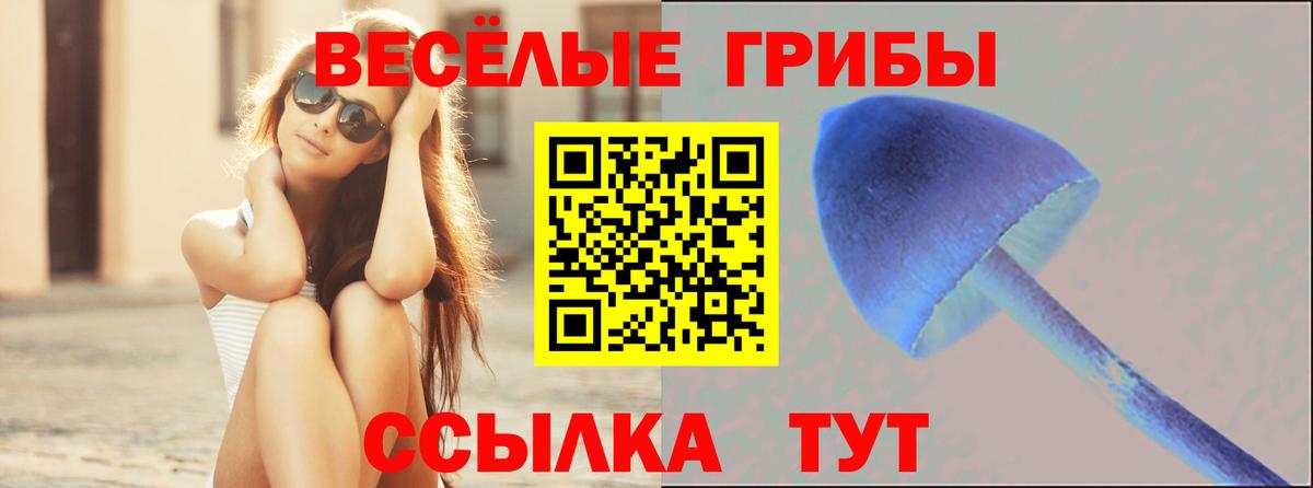 Псилоцибиновые грибы Cubensis Солнечногорск